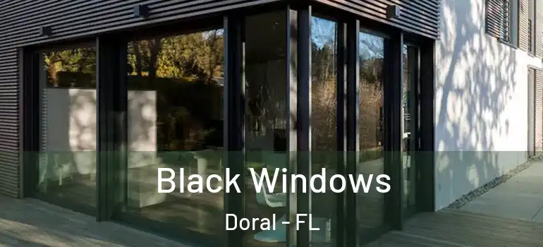  Black Windows Doral - FL