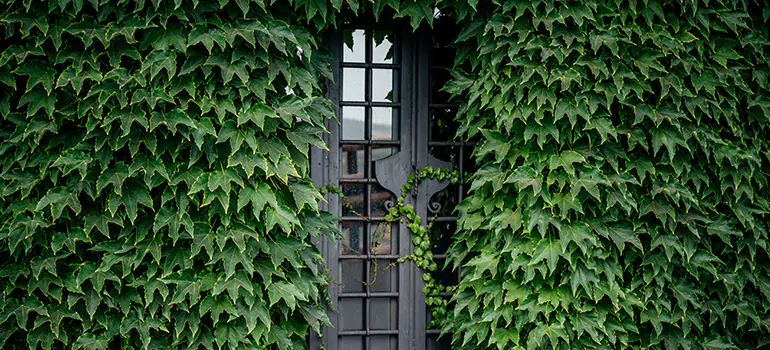 Garden Gate Repair in Doral, FL