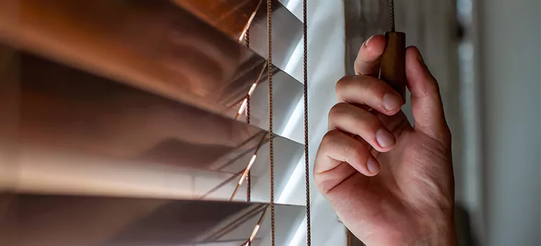 Double Roller Blinds in Doral, FL