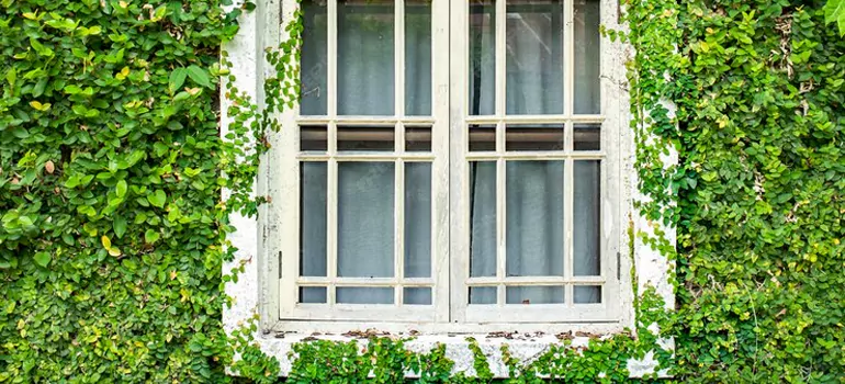 Garden Window Repair Near Me in Doral, FL