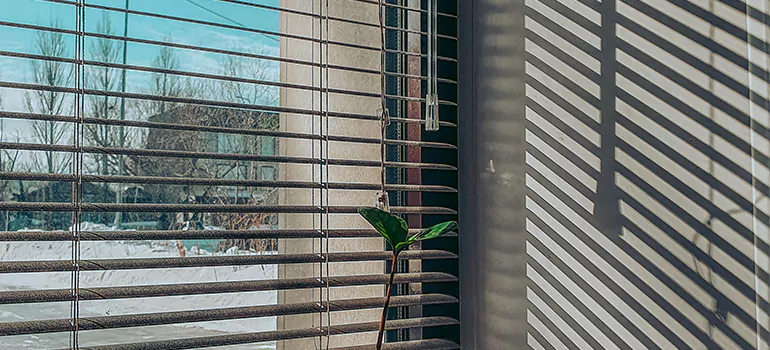 Commercial Window Blinds in Doral, FL