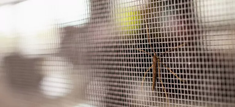Repair Mosquito Mesh For Windows in Doral, FL